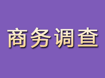 榕江商务调查